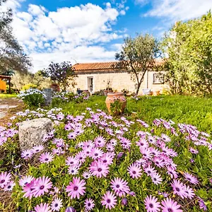 Casa Lilliosa Campavaglio